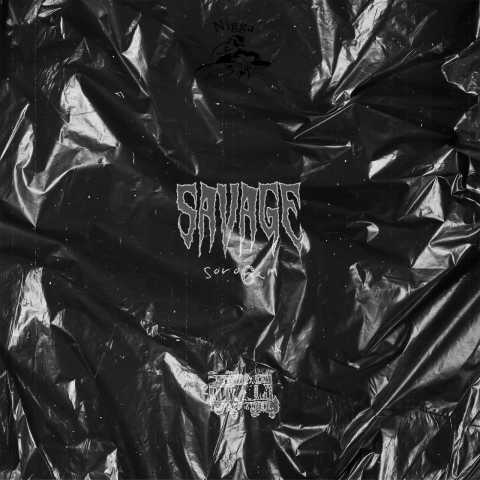 سروشم - وحشی